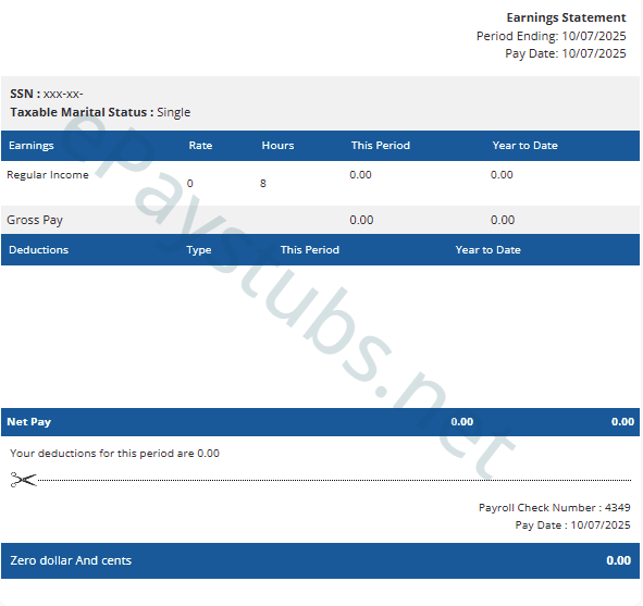 Template 3 pay stub preview