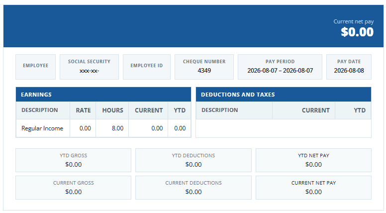 Template 7 pay stub preview