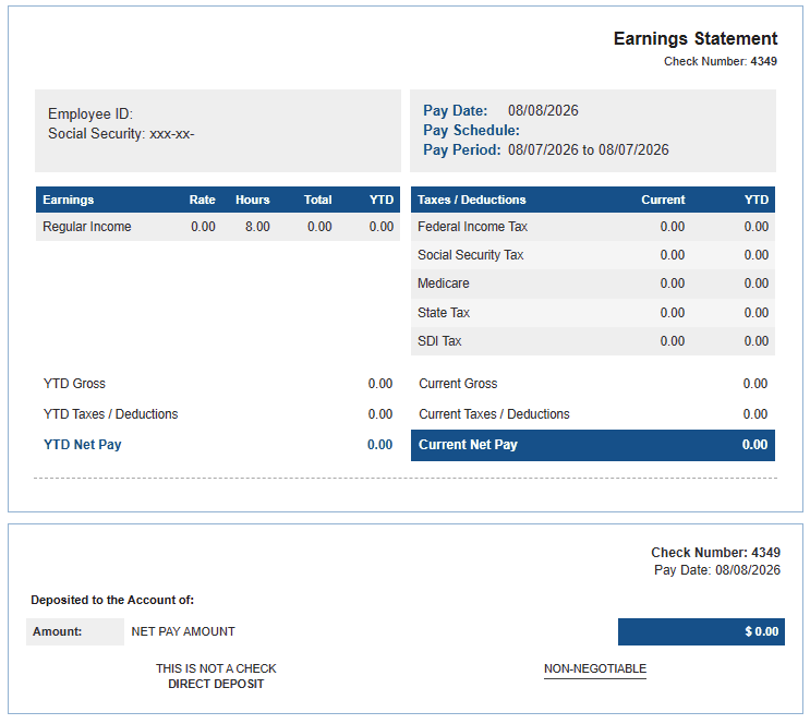 Template 8 pay stub preview